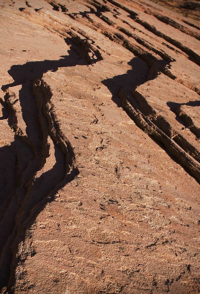 Zion Erosion