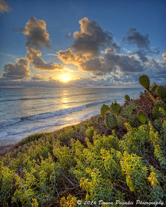 Clouds, Surf & Turf 