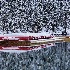 © Robert M. Cooper PhotoID # 15165472: Lake Louise