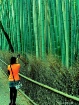 At the Arashiyama...