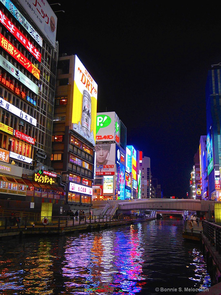 Dotonbori-gawa Canal 