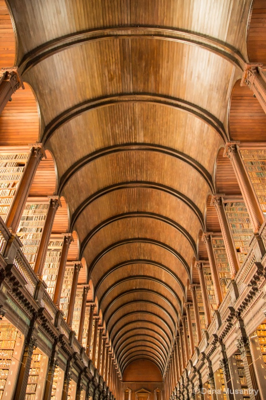 Amazing Library Ceiling