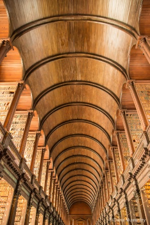 Amazing Library Ceiling