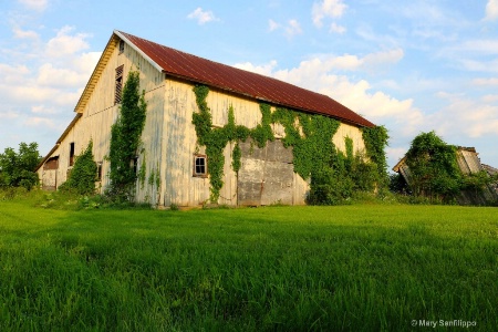 Old broken barn