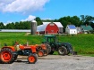 Farm beauty 