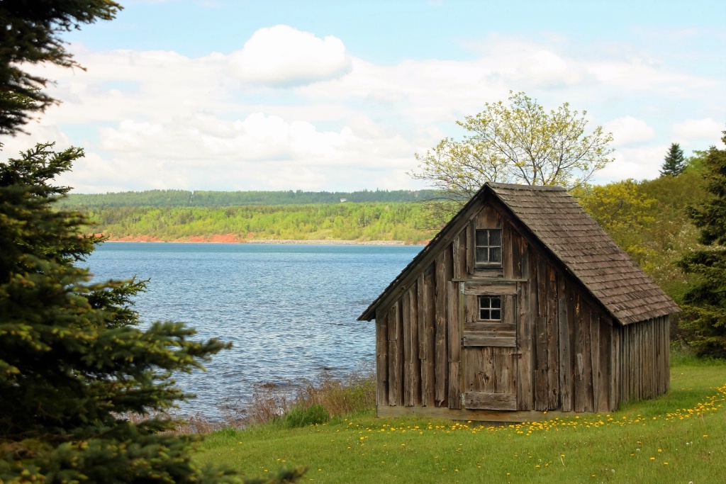 Old Shack