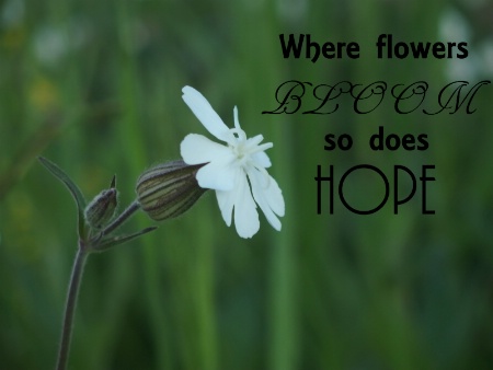 Hope