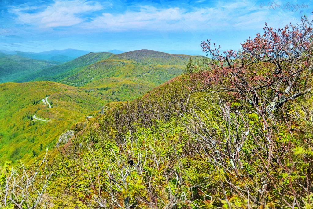 View From Stony Man 