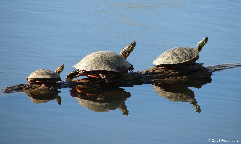 Three's a Crowd