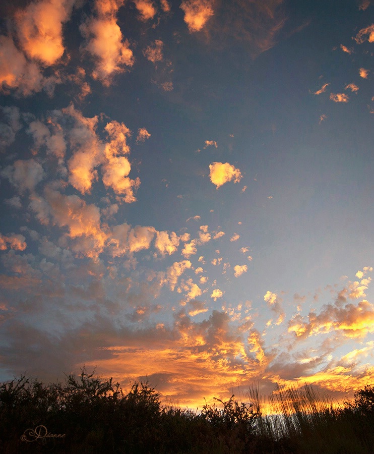 Popcorn Clouds