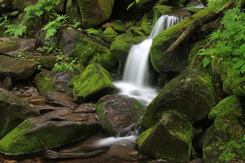 Little Mountain Falls