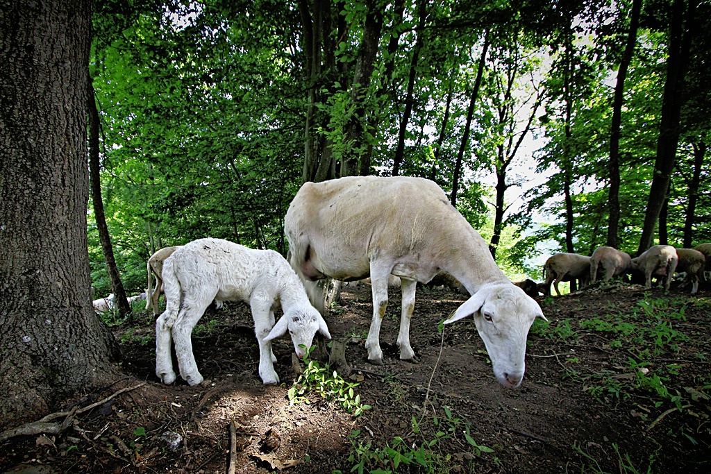 Mother and Child