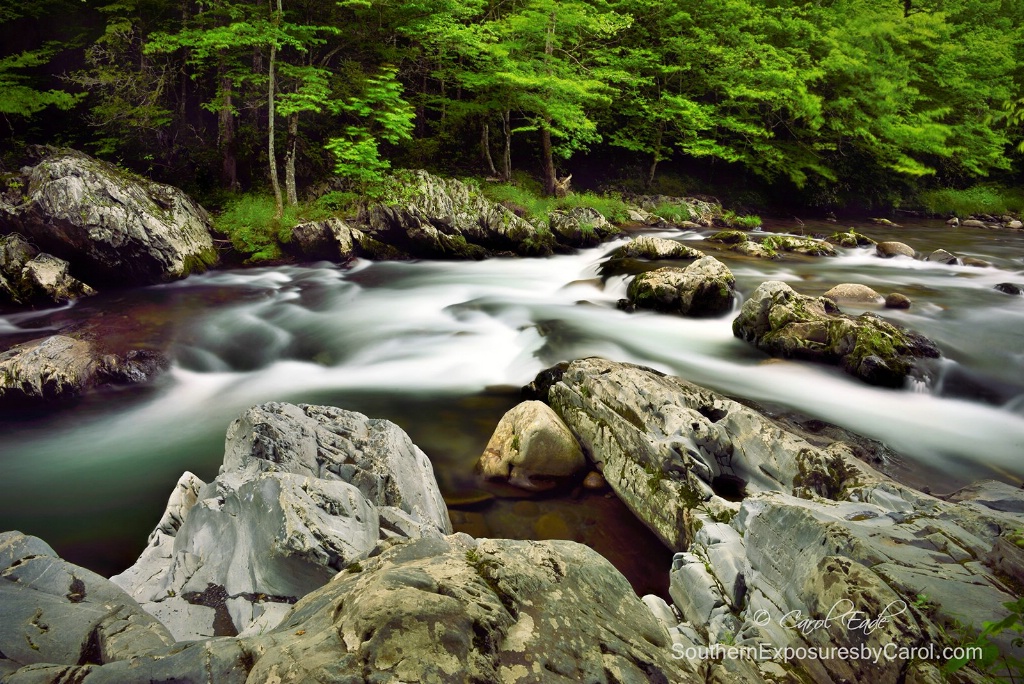 Greenbrier, Great Smoky Mountains National Park - ID: 15171364 © Carol Eade
