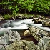 2Greenbrier, Great Smoky Mountains National Park - ID: 15171364 © Carol Eade