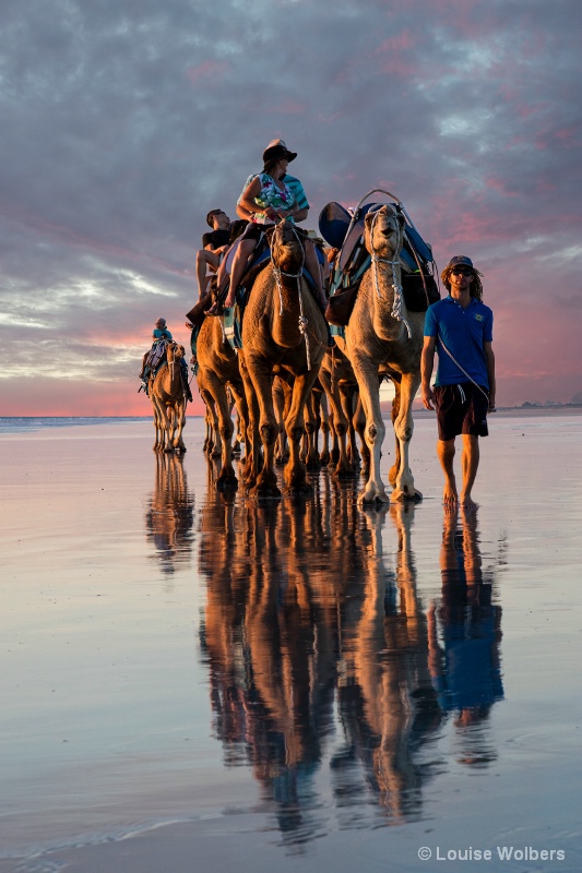 Pink Sunset Camel Ride - ID: 15171675 © Louise Wolbers