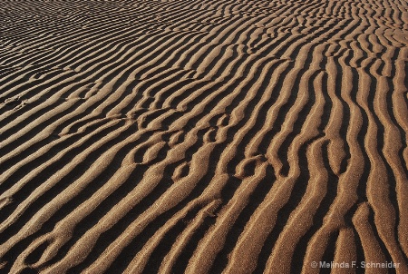 Low Tide