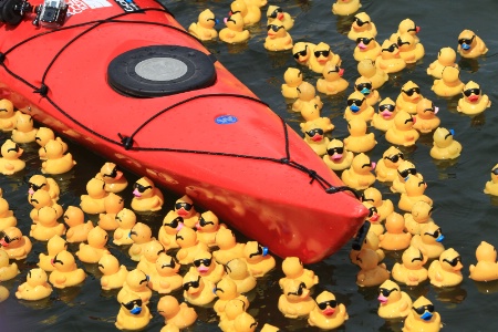 duck derby 