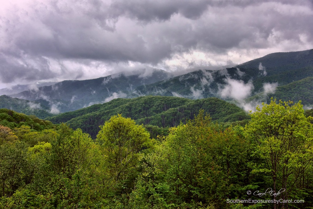 Smoky Mountains 4326 - ID: 15174358 © Carol Eade