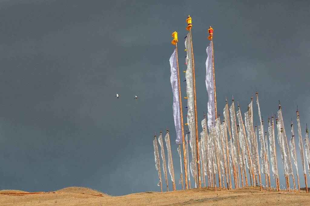 Prayer Flags, Bhutan