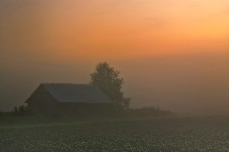 Barn In A Sunset Mist