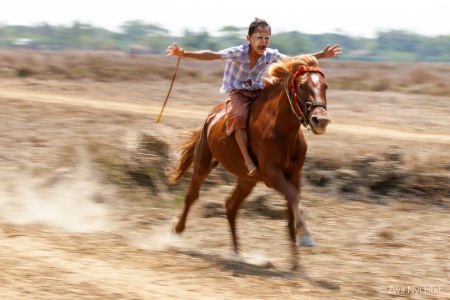 The Rider