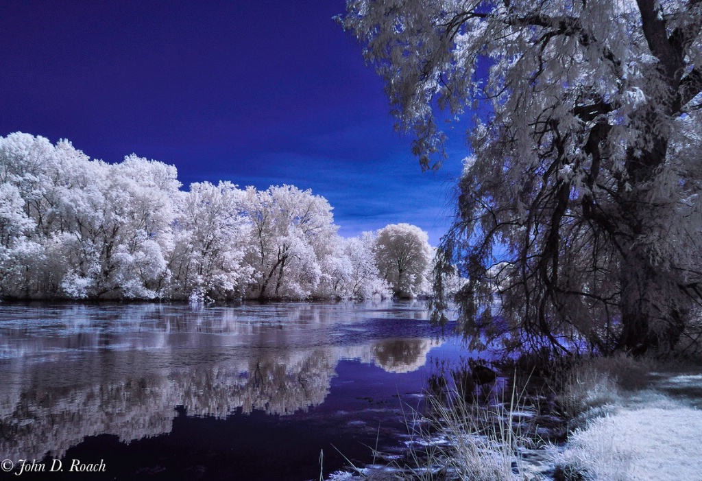 The Mysteries of the Lagoon