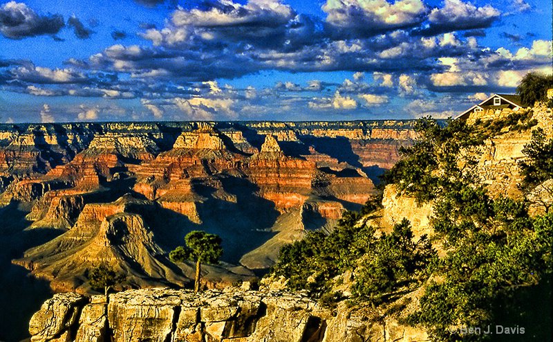 Grand Canyon #5