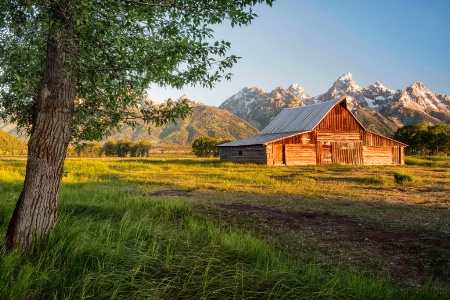 Barn on Mormon Row