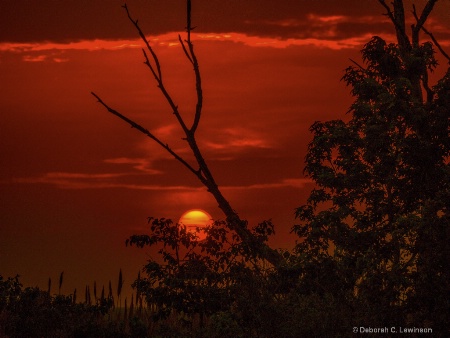 Red Sky in the Morning