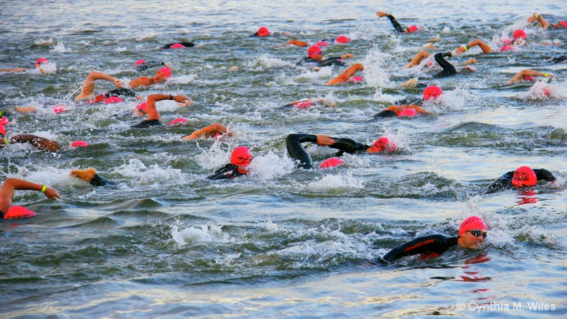 Swimmers in the Potomac River