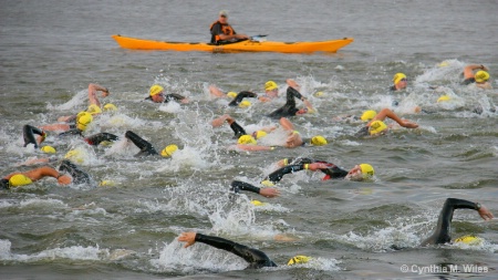 Swimmers in the Potomac River ll