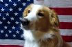 Independence Day