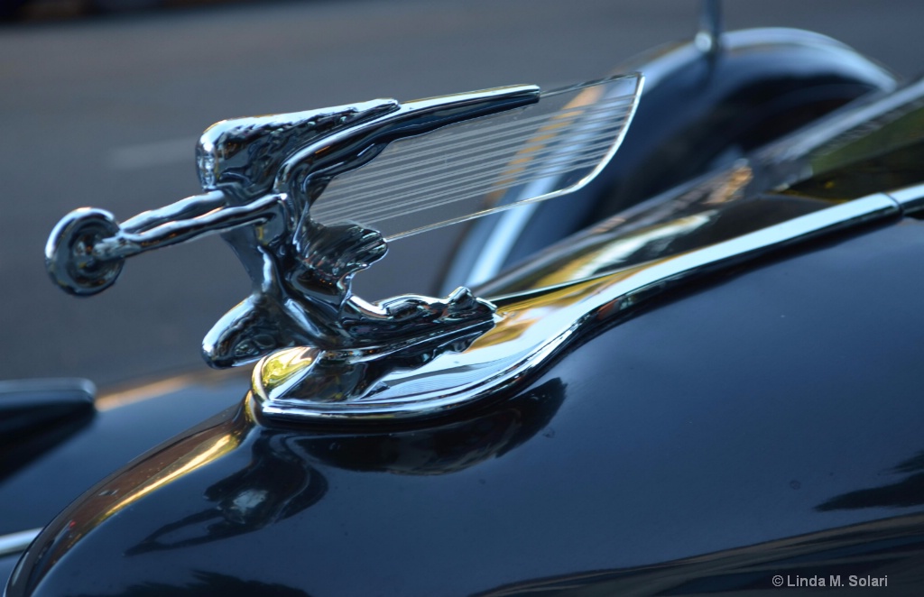 Packard Super 8 Emblem