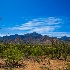 © John A. Roquet PhotoID # 15179730: Sonoran Desert Spring Print