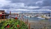Monterey Marina