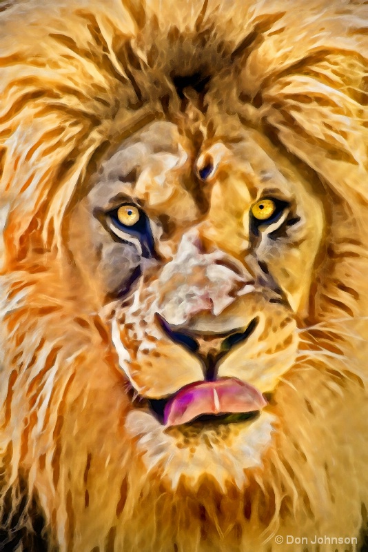 Artistic Lion with Tongue 5-22-16 478