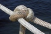 Knot
