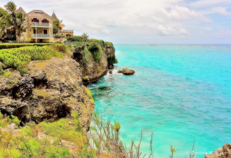 House on the Hill - Barbados - ID: 15182090 © Cynthia M. Wiles