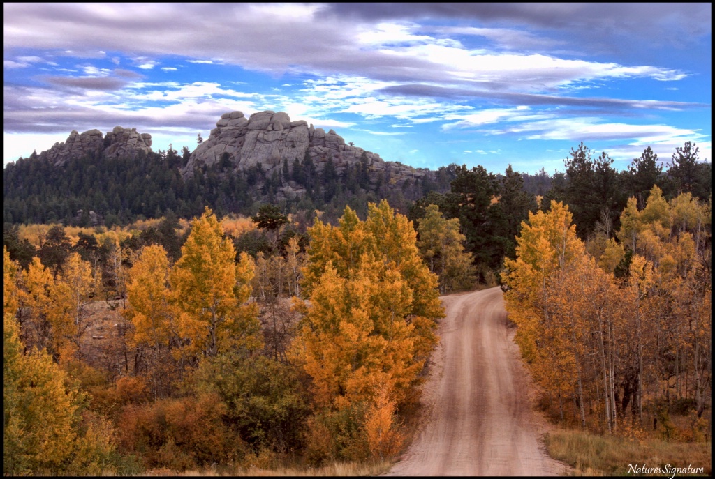 ~ Wyoming Dirt Roads ~ - ID: 15182116 © Trudy L. Smuin