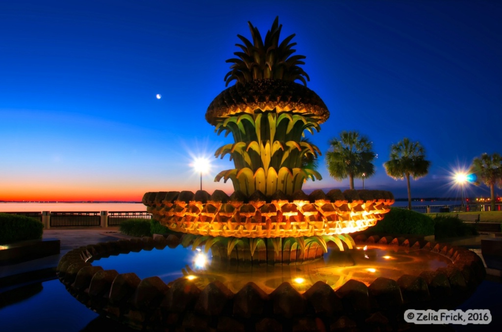 Dawn at the Charleston Pineapple