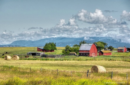 Farm-life