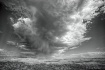 Natures Powerhous...