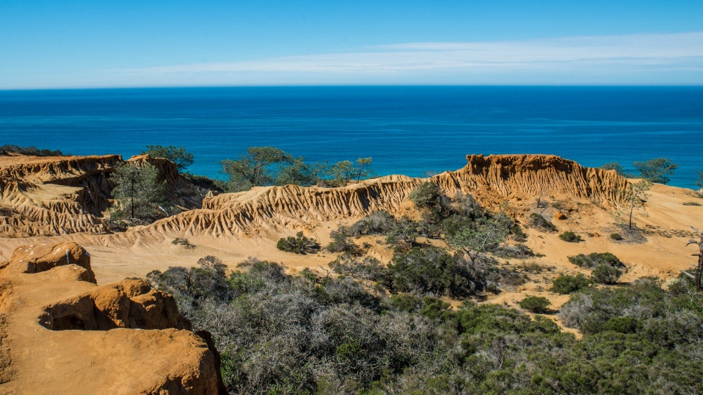 Torrey Pines 