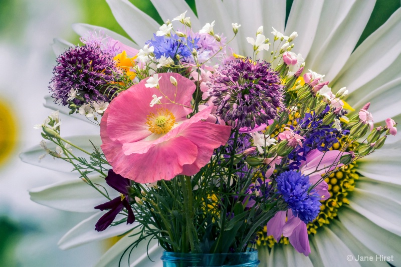 A Bouquet of Wildflowers