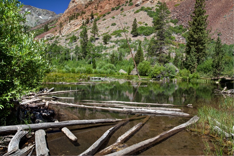 Lundy Canyon beaver pond, Eastern Sierras