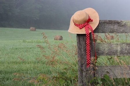 On the Fence