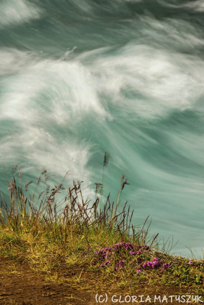 Rushing water and fauna at the glacial stream - ID: 15184483 © Gloria Matyszyk