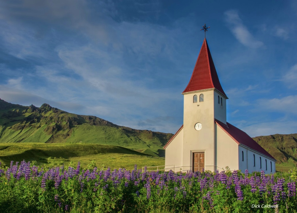 Church and lupine photographed at 9 PM - ID: 15184486 © Gloria Matyszyk