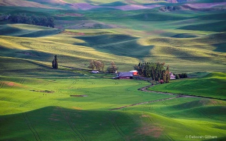 American Farmland