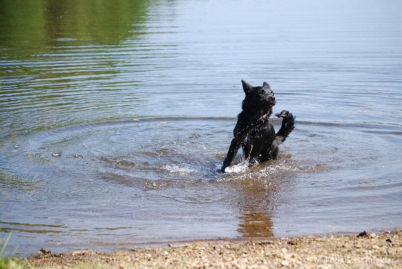 Water Surprise!